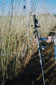 CCD-radiomeeter pajuistanduses, kevad 2000.