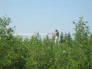 [alder coppice]