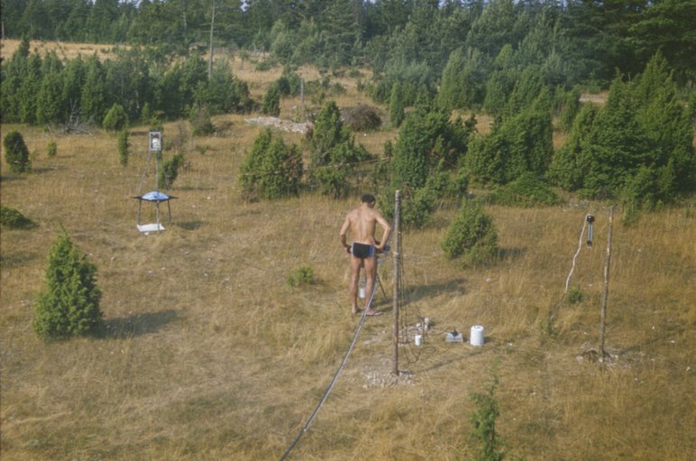 Tagala, 1973